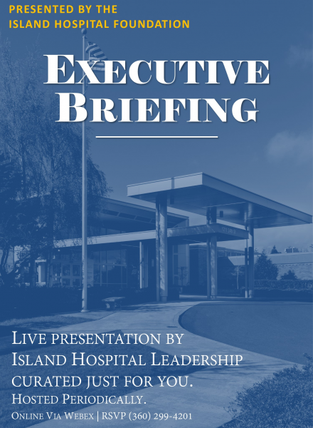 Executive Briefing icon